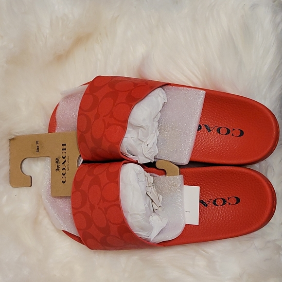 Coach Slides - Picture 1 of 3